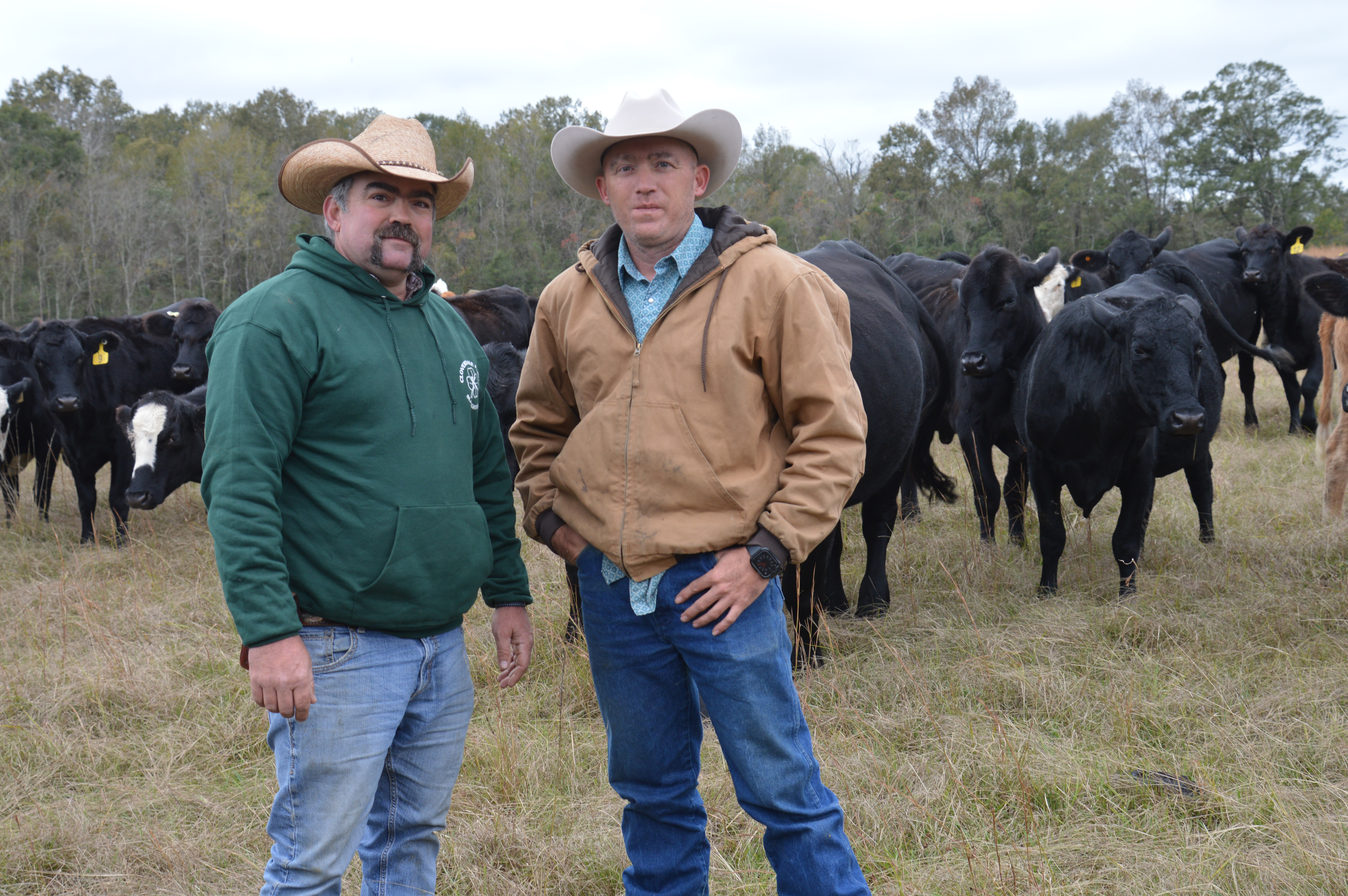 Seeking Additional Knowledge, Experienced Producers Learn From Master Cattleman Course